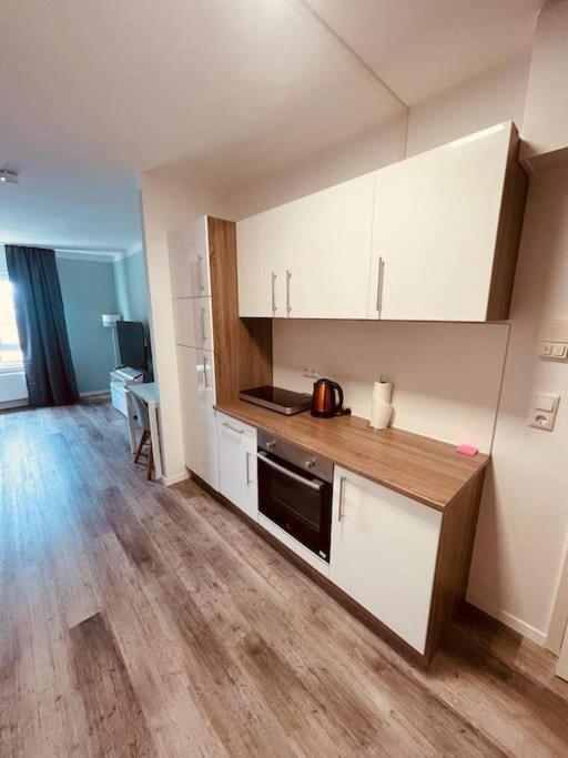 Cozy Apartment Central Location 02 Майнц Екстериор снимка